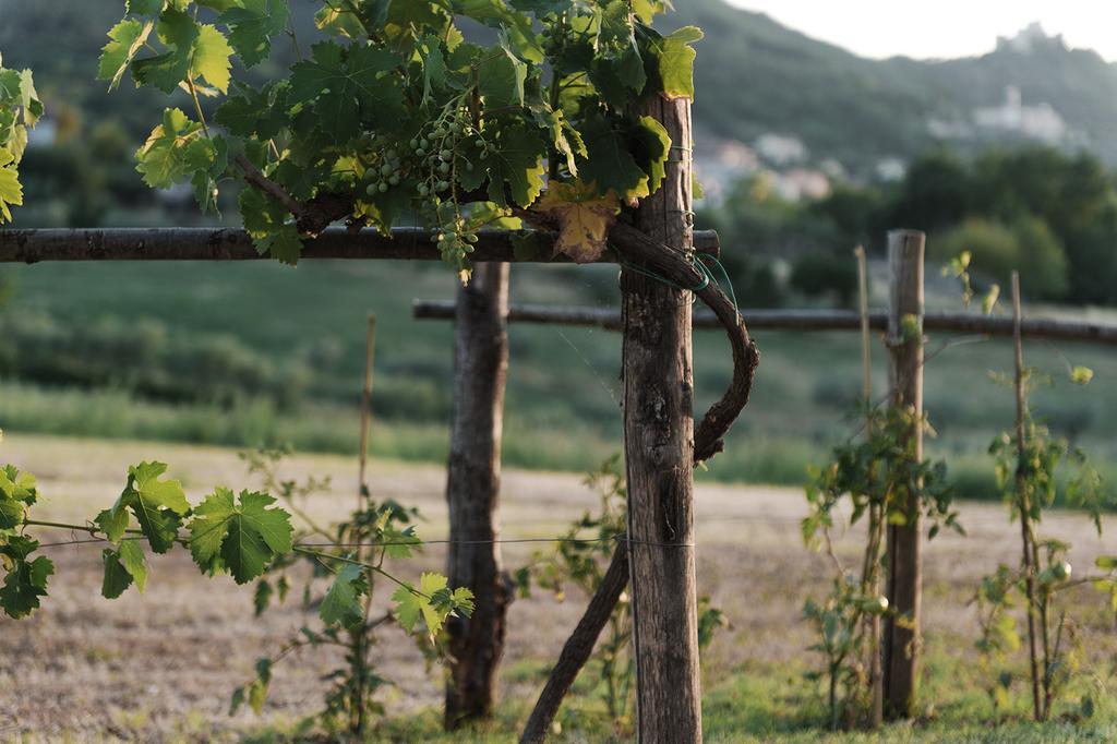 Relais Casale Valigi Villa Narni Dış mekan fotoğraf